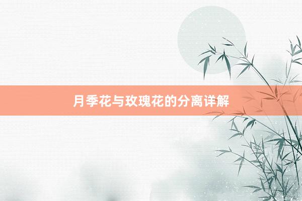 月季花与玫瑰花的分离详解