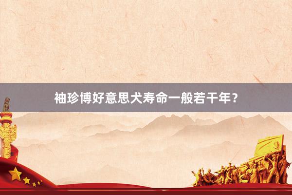 袖珍博好意思犬寿命一般若干年？