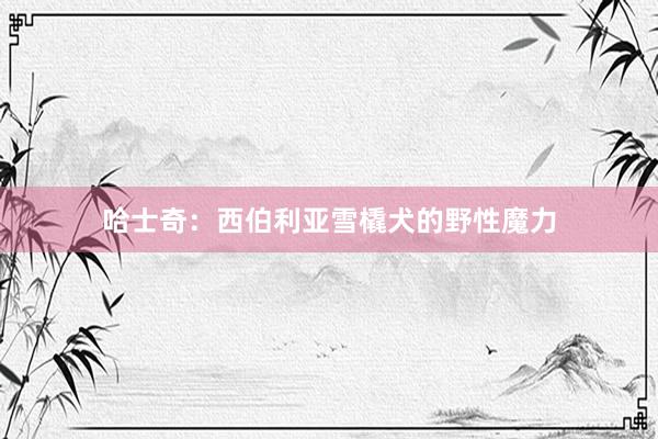 哈士奇：西伯利亚雪橇犬的野性魔力